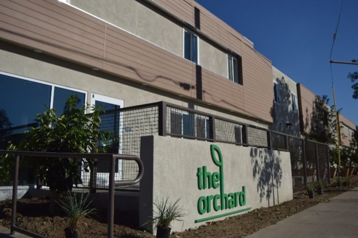 The Orchard 2